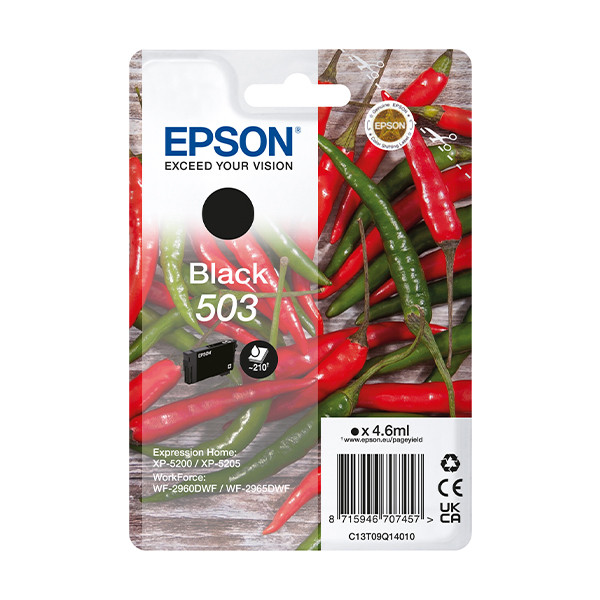 Epson Μελάνι Epson 503 Black C13T09Q14010 652040 - 1