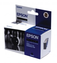 Epson Μελάνι Epson S020025 Black C13S02002540 020030