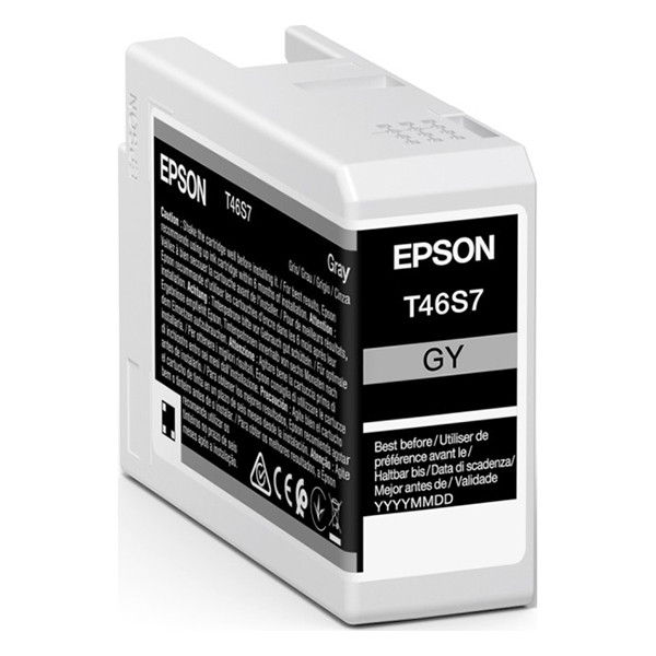 Epson Μελάνι Epson T46S7 Grey C13T46S700 083502 - 1