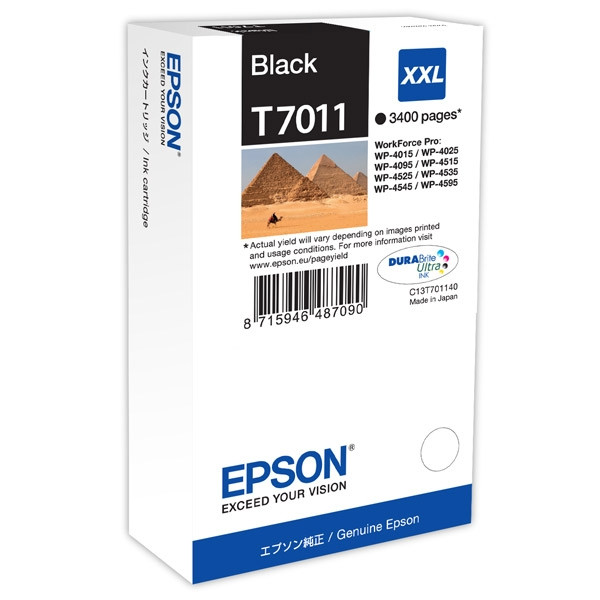 Epson Μελάνι Epson T7011 Extra High Capacity Black C13T70114010 026400 - 1