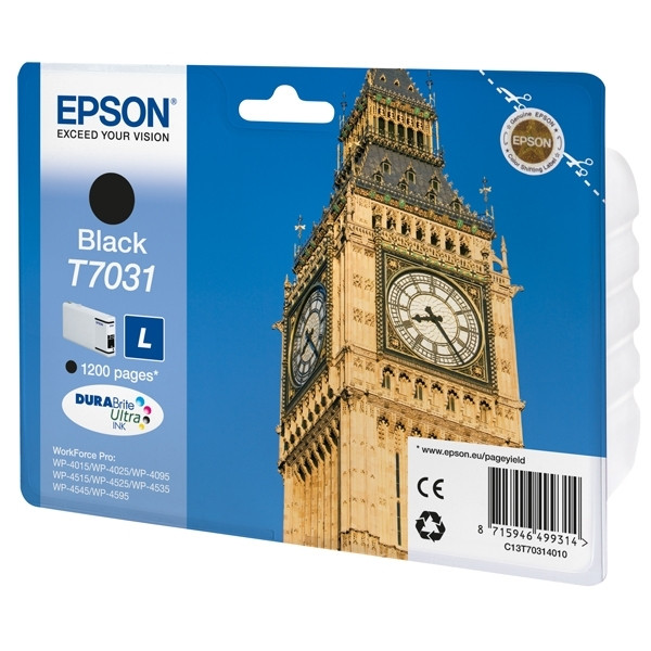 Epson Μελάνι Epson T7031 Black C13T70314010 026424 - 1