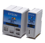 Epson Μελάνι T013/T014 2-pack  110294